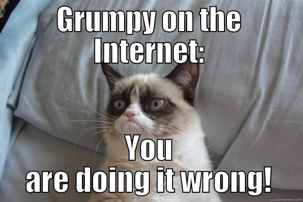 GRUMPY ON THE INTERNET: YOU ARE DOING IT WRONG! Grumpy Cat