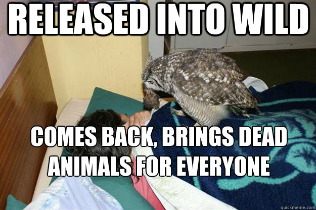 Released into wild comes back, brings dead animals for everyone  