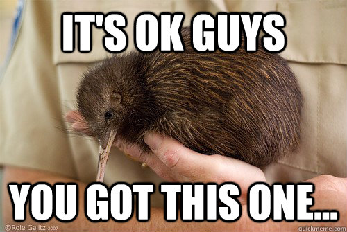 It's ok guys You got this one... - It's ok guys You got this one...  Alienated Kiwi Bird