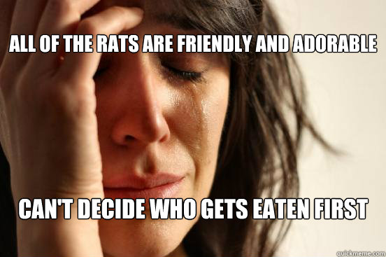 
All of the rats are friendly and adorable Can't decide who gets eaten first

  First World Problems