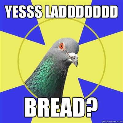 YESSS LADDDDDDD BREAD? - YESSS LADDDDDDD BREAD?  Religion Pigeon