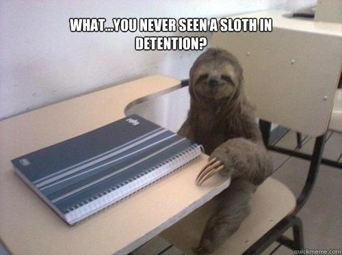 What...you never seen a sloth in detention? - What...you never seen a sloth in detention?  Misc