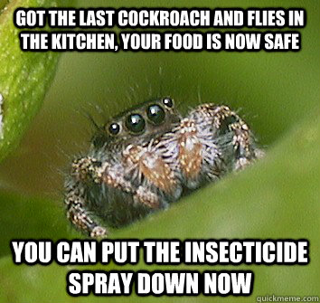 Got the last cockroach and flies in the kitchen, your food is now safe you can put the insecticide spray down now  Misunderstood Spider