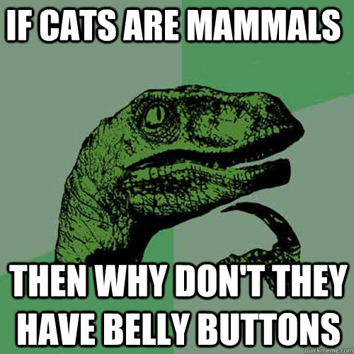 If cats are mammals  Then why don't they have belly buttons  Philosoraptor