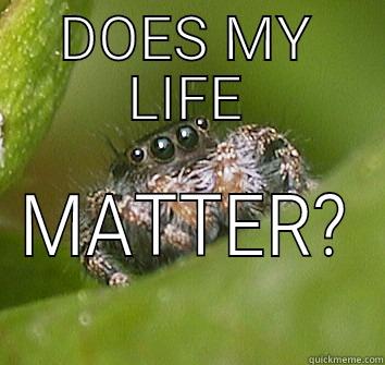 DOES MY LIFE MATTER? Misunderstood Spider