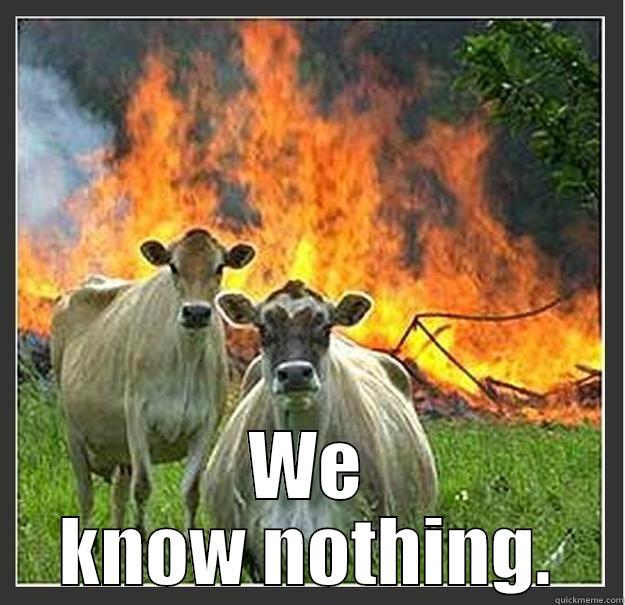  WE KNOW NOTHING. Evil cows