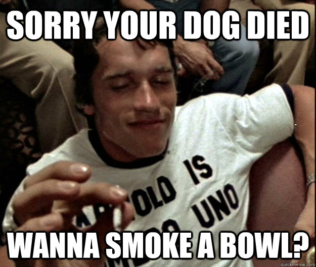 sorry your dog died Wanna smoke a bowl? - sorry your dog died Wanna smoke a bowl?  Sympathetic Pot Smoker