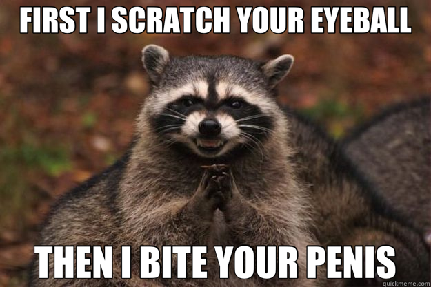 FIRST I SCRATCH YOUR EYEBALL THEN I BITE YOUR PENIS  Evil Plotting Raccoon