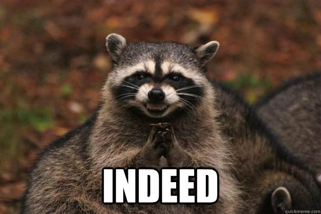  Indeed -  Indeed  Evil Plotting Raccoon