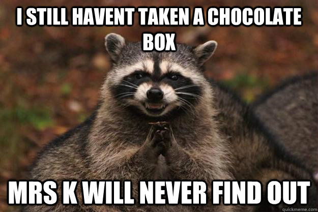 I still havent taken a chocolate box Mrs K will never find out  Evil Plotting Raccoon