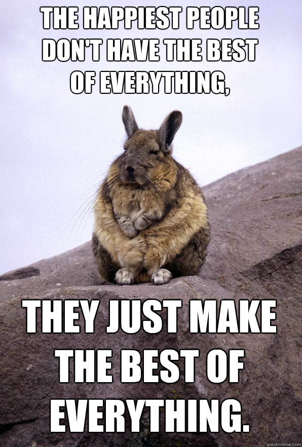 The happiest people don't have the best of everything, they just make the best of everything.  Wise Wondering Viscacha