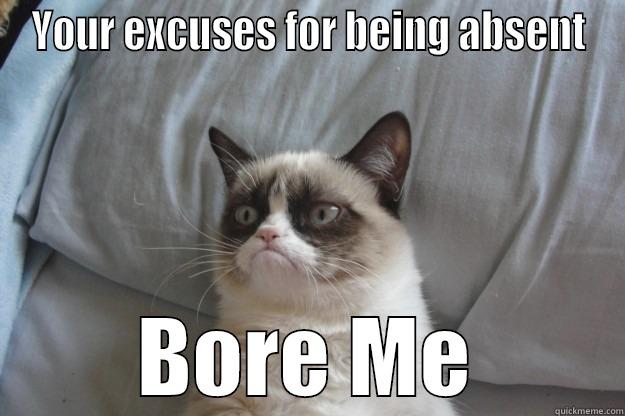 Troop Meeting - YOUR EXCUSES FOR BEING ABSENT BORE ME Grumpy Cat