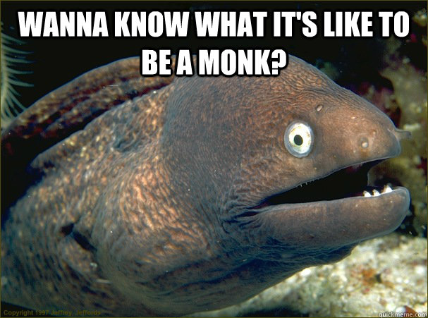 Wanna know what it's like to be a monk?  - Wanna know what it's like to be a monk?   Bad Joke Eel