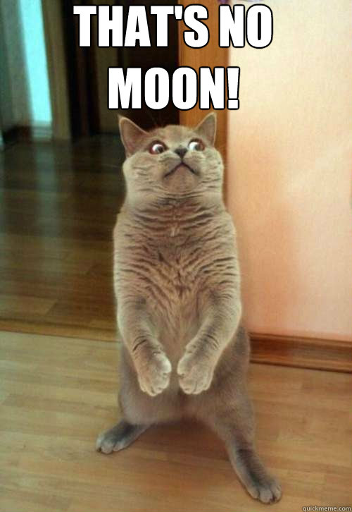  That's no moon! -  That's no moon!  Horrorcat