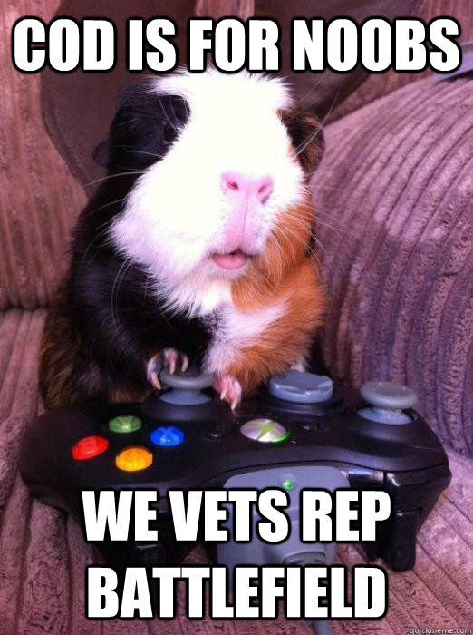 cod is for noobs we vets rep battlefield - cod is for noobs we vets rep battlefield  Gamer Guinea Pig