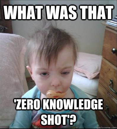 What was that 'zero knowledge shot'?  Party Toddler