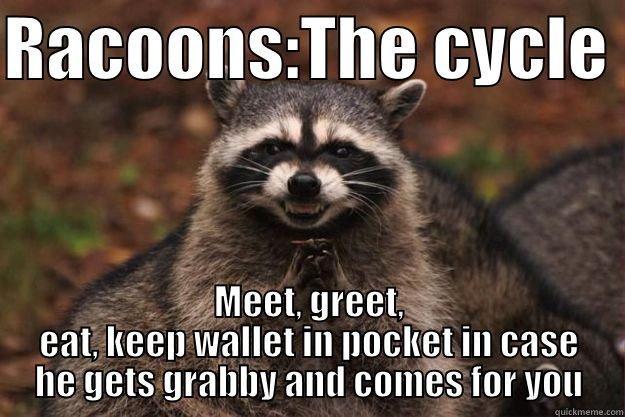 RACOONS:THE CYCLE  MEET, GREET, EAT, KEEP WALLET IN POCKET IN CASE HE GETS GRABBY AND COMES FOR YOU Evil Plotting Raccoon