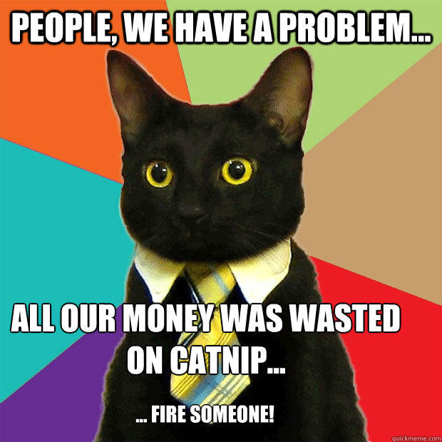 People, we have a problem... All our money was wasted on catnip...  ... fire someone!   Business Cat