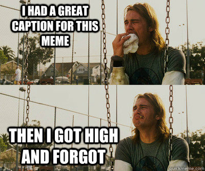 I had a great caption for this meme then I got high and forgot  First World Stoner Problems