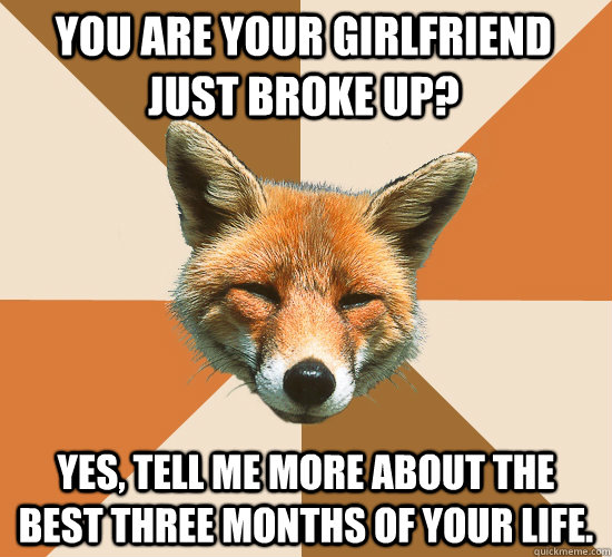 You are your girlfriend just broke up? yes, tell me more about the best three months of your life.  Condescending Fox