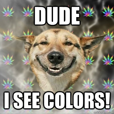 Dude I See Colors!  Stoner Dog