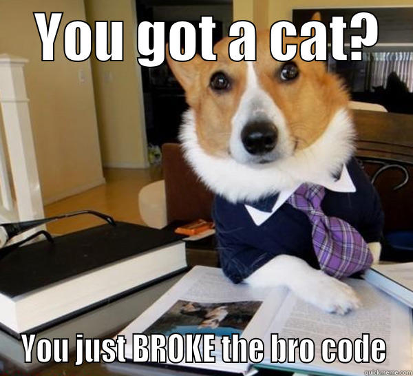 Dog Lawyered.  -    YOU GOT A CAT?    YOU JUST BROKE THE BRO CODE Lawyer Dog