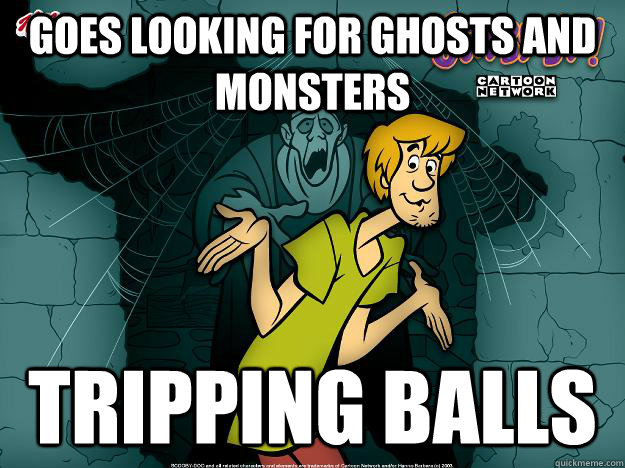 goes looking for ghosts and monsters tripping balls  Irrational Shaggy