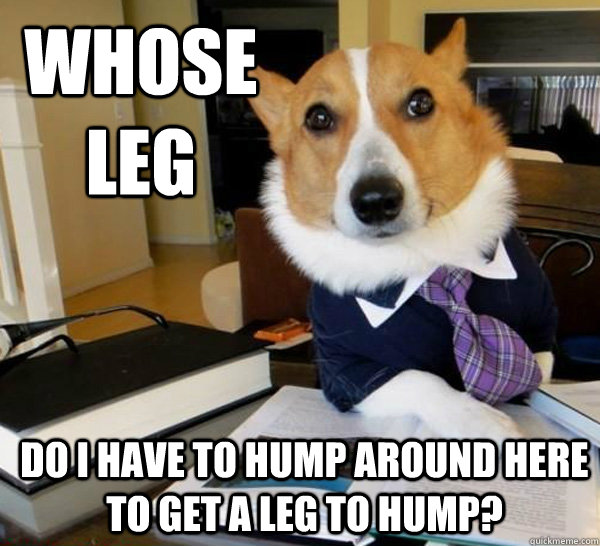 whose leg do i have to hump around here to get a leg to hump?  Lawyer Dog