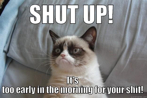 My face when people disturb me before work starts. - SHUT UP! IT'S TOO EARLY IN THE MORNING FOR YOUR SHIT! Grumpy Cat