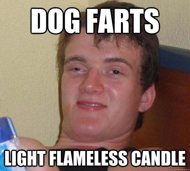 Dog Farts Light flameless candle - 10 Guy - quickmeme