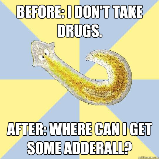 Before: I don't take drugs. After: Where can I get some adderall?  Bio Major Planarian