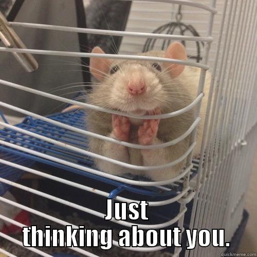 Mouse Love -  JUST THINKING ABOUT YOU. Misc