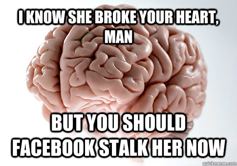 I know she broke your heart, man but you should facebook stalk her now  Get the [AdviceAnimals Chrome extension!](http://www.livememe.com/extension)  Scumbag Brain