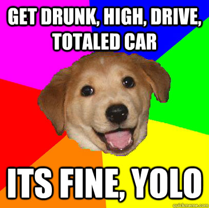 GET DRUNK, HIGH, DRIVE, TOTALED CAR ITS FINE, YOLO  Advice Dog