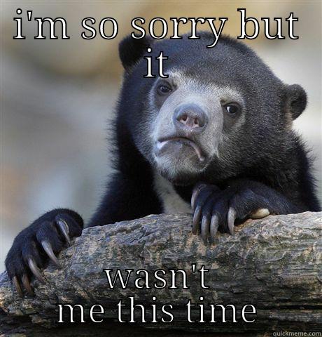 I'M SO SORRY BUT IT WASN'T ME THIS TIME Confession Bear