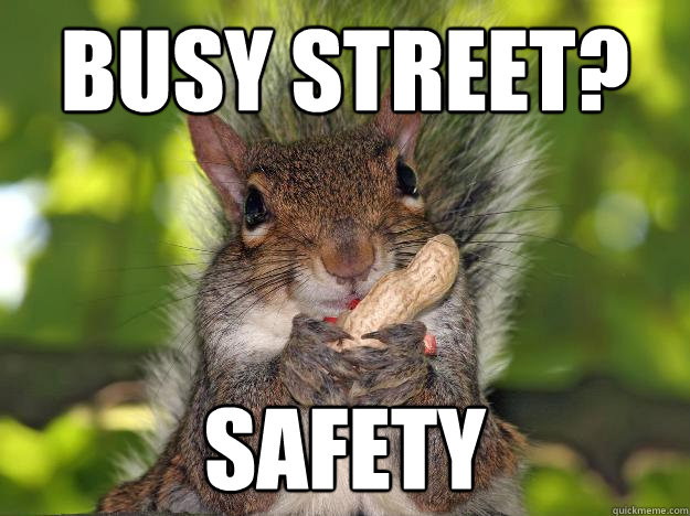 Busy street? Safety  Incorrectly Presumptuous Squirrel