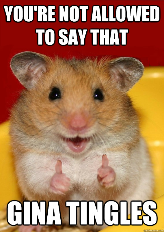 You're not allowed to say that gina tingles - You're not allowed to say that gina tingles  Rationalization Hamster