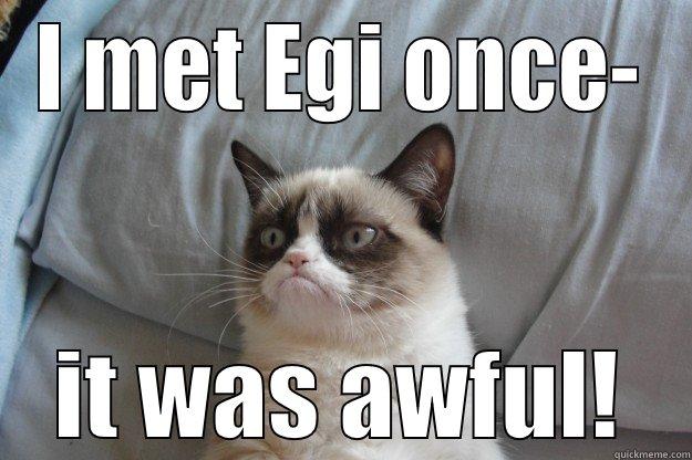 I MET EGI ONCE- IT WAS AWFUL! Grumpy Cat