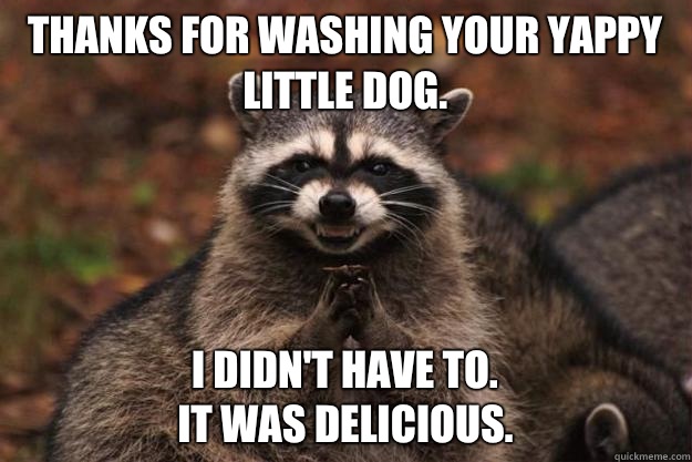 Thanks for washing your yappy little dog.  i didn't have to.                                               It was delicious.  Evil Plotting Raccoon