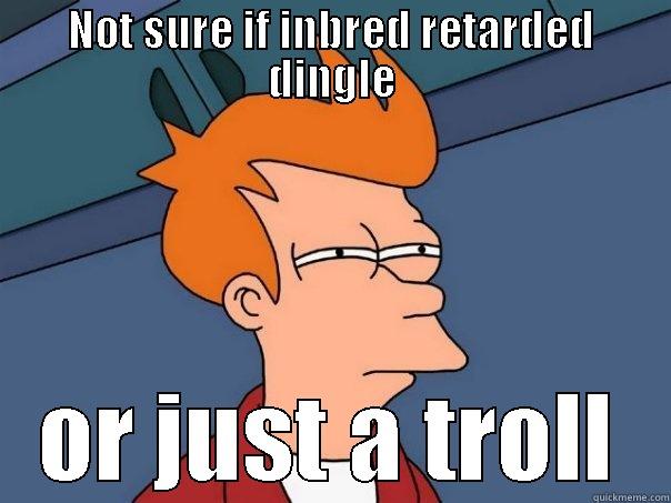 NOT SURE IF INBRED RETARDED DINGLE OR JUST A TROLL Futurama Fry