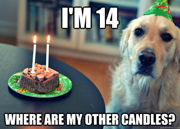 I'm 14 Where are my other candles?  Sad Birthday Dog