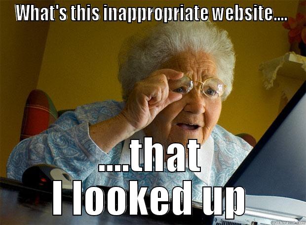 don't look there - WHAT'S THIS INAPPROPRIATE WEBSITE.... ....THAT I LOOKED UP Grandma finds the Internet