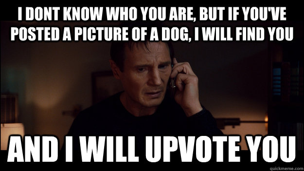 I Dont know who you are, but if you've posted a picture of a dog, i will find you and i will upvote you - I Dont know who you are, but if you've posted a picture of a dog, i will find you and i will upvote you  Misc