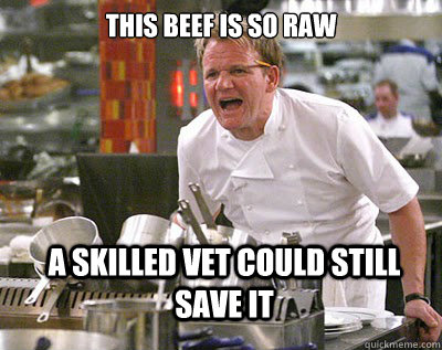 This beef is so raw A skilled vet could still save it  Chef Ramsay