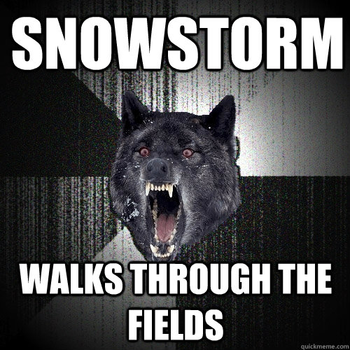 Snowstorm walks through the fields - Snowstorm walks through the fields  Insanity Wolf