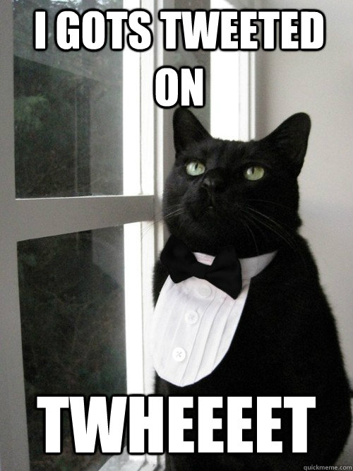 I gots tweeted on Twheeeet  One Percent Cat