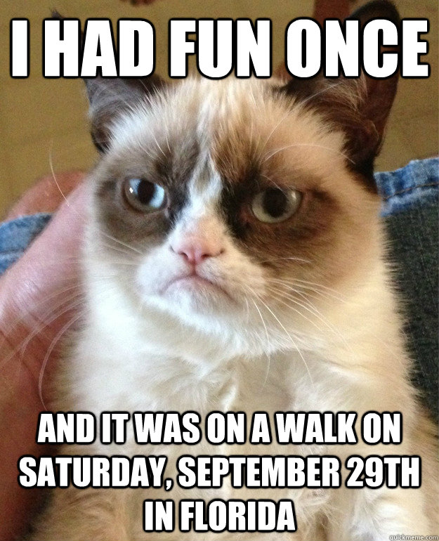 I had fun once and it was on a walk on Saturday, September 29th in Florida   Grumpy Cat