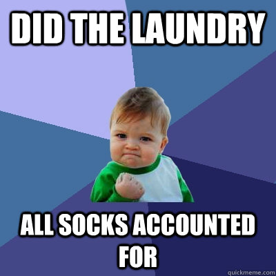 Did the laundry all socks accounted for  - Did the laundry all socks accounted for   Success Kid