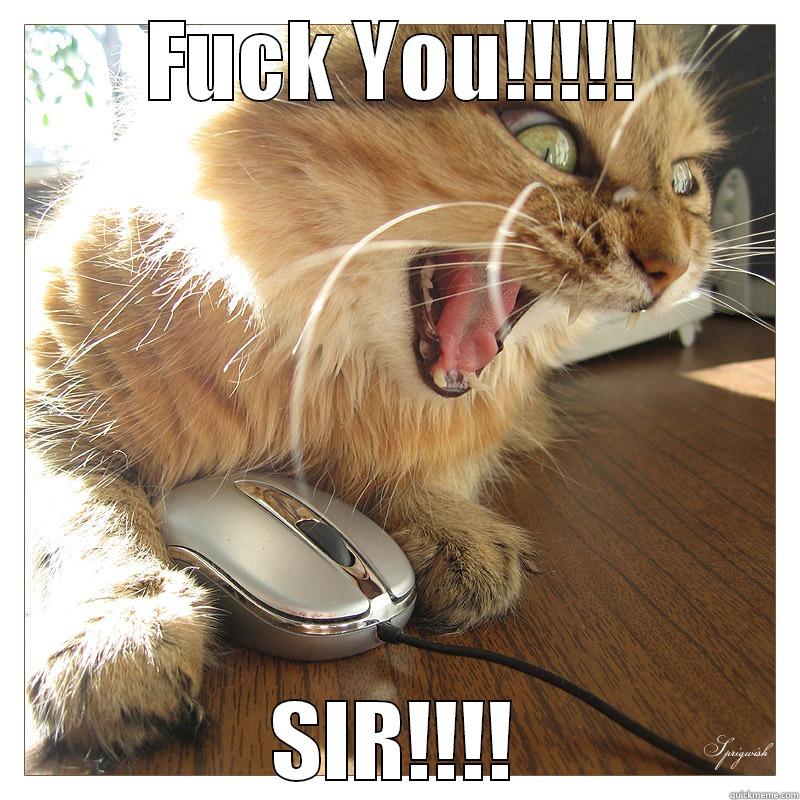 >:3 Thats my cat - FUCK YOU!!!!! SIR!!!! Misc