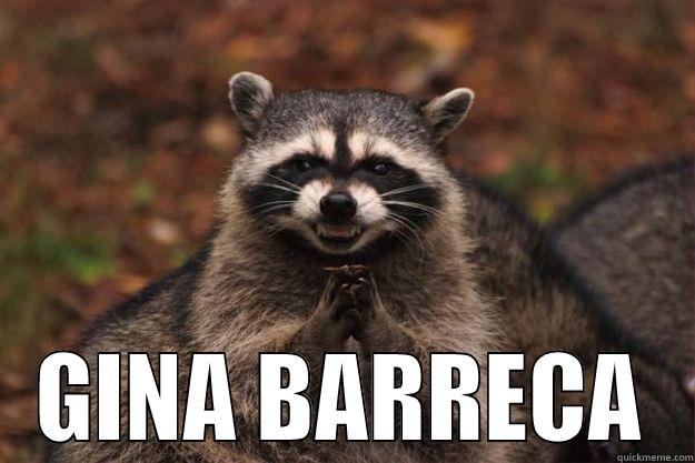  GINA BARRECA Evil Plotting Raccoon